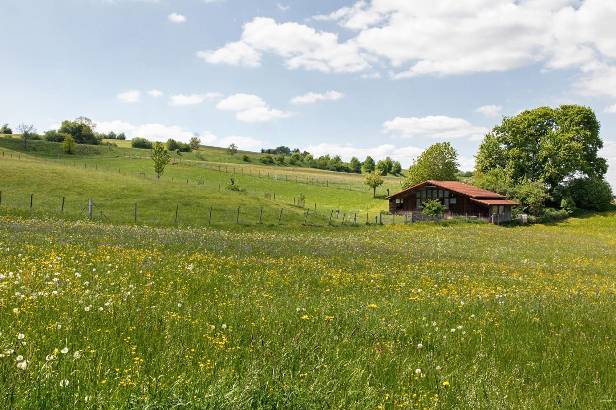 Ferienwohnung Emilia, 36Qm มึนซิงเงน ภายนอก รูปภาพ